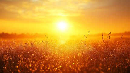 Poster - Early morning light spills over a tranquil meadow, where dew glistens on tall grass, creating a magical atmosphere as the sun rises on the horizon