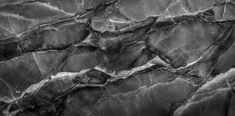 Poster - Dark gray marble with prominent white veins creates a grunge texture of exceptional beauty, making it a great choice for backgrounds and design-related endeavors