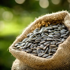 Aufkleber - Bountiful Harvest of Sunflower Seeds Overflowing a Rustic Burlap Sack in Natural Light and Earthy Tones