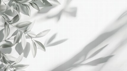Poster - botanical shadows: delicate leaves cast intricate shadows, a play of light and form on a clean, mini