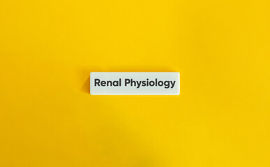 Wall Mural - renal physiology banner. text on block letter tile on yellow background. minimal aesthetic.
