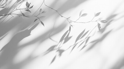 Aufkleber - Delicate shadows from leaves intertwine on a light wall, creating an ephemeral display of nature. The sunlight filters through, emphasizing a peaceful ambiance during a calm afternoon