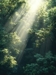 Wall Mural - sunlight streaming through dense foliage, a magical forest atmosphere