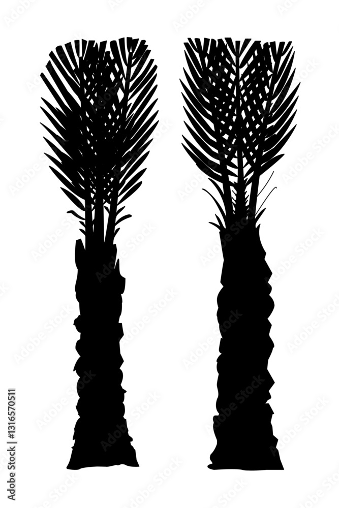 vector black palm tree. Clip art isolated on transparent background ...