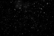 © kulkann - Texture of natural falling snow on black background.