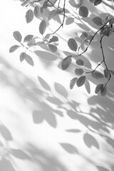 Poster - delicate monochrome leaves casting gentle shadows on a textured white surface creating a serene and 