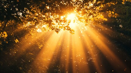Poster - Create  prompts for stock photos related to A bright golden light effect with deep highlights and multiple rays. Bright sun with - characters and ending with
