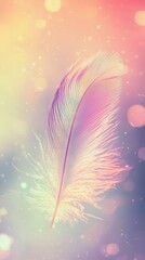 Poster - Colorful Feather with Soft Bokeh Background and Dreamy Atmosphere