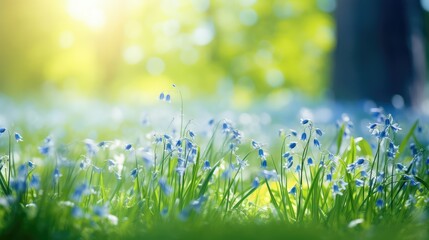 Wall Mural - bells spring background blue