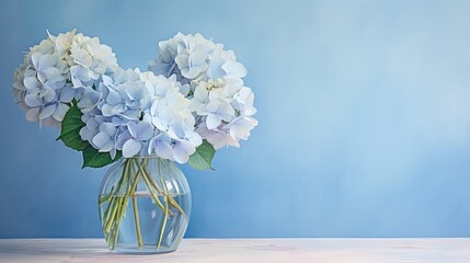 Wall Mural - vase cute blue background