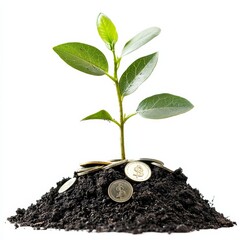 Poster - Financial Growth: A Sprout Emerges from Earth with Coins, Symbolizing Investment and Sustainable Prosperity.