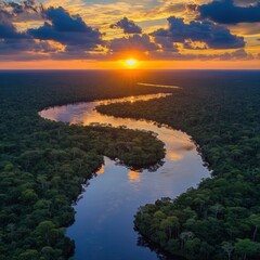 Wall Mural - Serene aerial view of Amazon river winding through lush green rainforest at golden sunset hour creating magical scenery