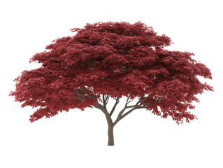 a large red tree with no leaves. the tree is bare and has no foliage. the tree is tall and has a str