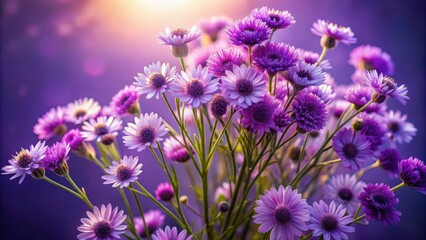Poster - A delicate bouquet of purple and pink flowers bathed in soft sunlight, their petals unfurling in a symphony of color and texture.