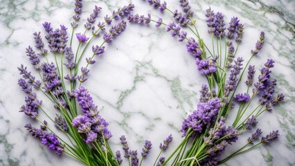 Poster - A vibrant arrangement of purple lavender blossoms gracefully adorn a pristine marble background, creating a delicate and fragrant display.