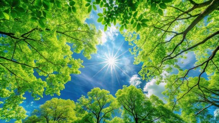 Aufkleber - A bright sun shines through a canopy of lush green trees, creating a vibrant and ethereal scene in the summer sky.