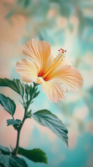 Aufkleber - Pale peach hibiscus flower, delicate petals and green leaves against a blurred pastel background, showcasing natural elegance and serenity, ideal for a calming aesthetic