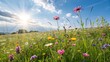 © HumblePride - Summer Meadow Bliss: A vibrant meadow bursts with colorful wildflowers, basking in the warm glow of a sun-drenched summer day. The radiant sunlight, scattered through the blue sky.