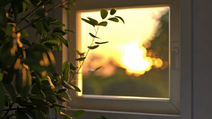 Wall Mural - Serene and Peaceful Atmosphere Sunlit Window with Green Leaves in Foreground, Warm Sunset Glow Enhancing Tranquil Scene, Soft Sunlight Illuminating Leaves, Creating Warm and Peaceful Ambiance