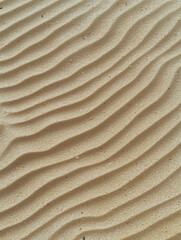 Poster - Ripples in sand create mesmerizing pattern on sunlit dune surface
