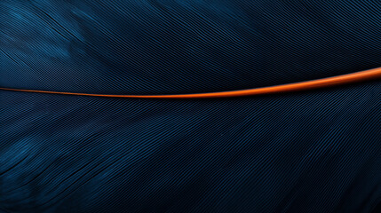 Poster - Detailed view of feather with soft textures and natural patterns