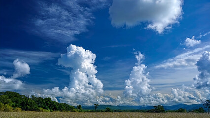 Wall Mural - Majestic Cumulus Clouds Against a Deep Blue Sky Over a Scenic Landscape