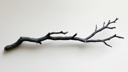 Wall Mural - black tree branch: minimalist nature photography