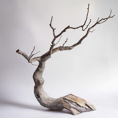 Wall Mural - abstract dry tree branch: nature's minimalist sculpture