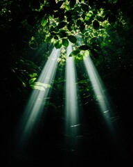 Poster - Ethereal Forest Light Meditation Sustainable Wellness Visualization with Biophilic Green Energy Narrative - Mindful Nature Connection and Digital Tranquility Experience