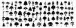 © designer - A collection of trees with a white background with a black and white background