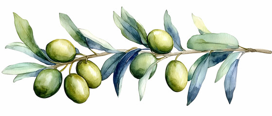 Olive branch, green olives, leaves, nature