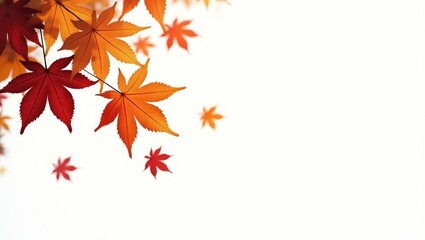 Poster - Autumn leaves in shades of orange falling against a white background.