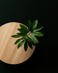 Poster - Minimalist Wood Table and Green Leaf Plant, Nature Inspired Decor, Home Interior Design Concept