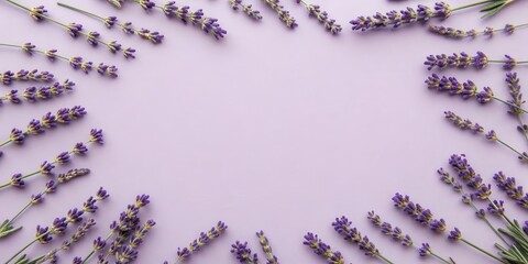 Poster - Purple Lavender Flowers Arranged in a Frame on a Light Purple Background