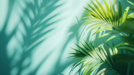 Leinwandbilder - Sunlight filters through vibrant palm leaves, creating a captivating play of light and shadow on a soothing turquoise wall. This tranquil moment embodies nature's artistry in an indoor space