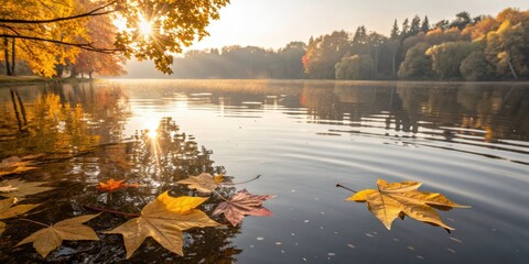 Poster - Autumn leaves gently float on the serene surface of a calm lake, illuminated by the warm glow of the setting sun.