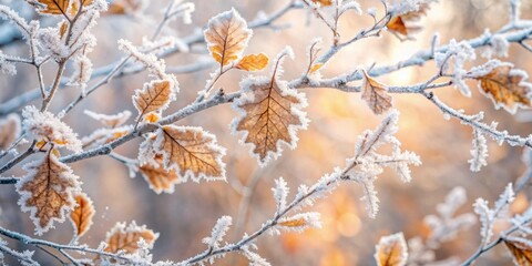 Aufkleber - Frost-Covered Leaves Glisten in the Winter Sun, Creating a Delicate and Intricate Tapestry of Nature's Beauty