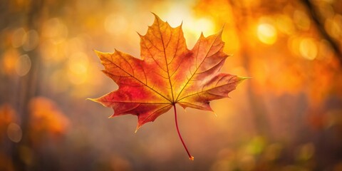 Aufkleber - A Single Maple Leaf Glowing in the Warm Light of the Setting Sun, Capturing the Essence of Autumn's Tranquil Beauty