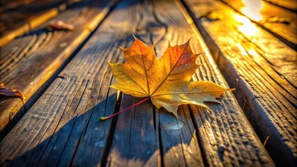 Aufkleber - A single autumn leaf rests upon weathered wooden planks, bathed in the warm glow of the setting sun.