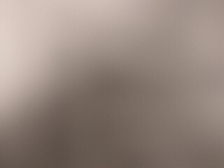 Wall Mural - brushed metal background
