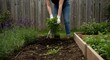 © Jismullah - Gardening: Woman Planting Herbs in a Backyard Garden
