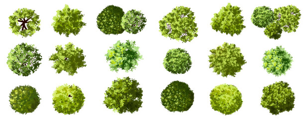 Wall Mural - vector set of top view green tree for outdoor plan or map and architecture drawing, elements for env