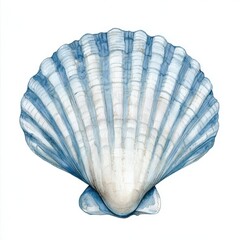 Poster - Watercolor blue and white scallop shell, realistic, highly detailed, minimalist design, on a plain background.