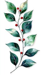Poster - Elegant Green Leaves with Red Berries Illustration for Decoration