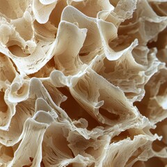 Poster - Intricate Textures of Natural Fiber in Close-Up Macro Photography