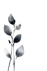 Poster - Delicate flowing botanical stems and leaves are rendered in black and white with soft gradients