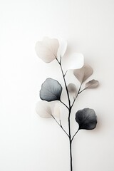 Poster - This artwork features delicate botanical stems and leaves in black and white watercolor. The use of ink-wash creates soft gradients, embodying a modern and tranquil aesthetic with Zen influence
