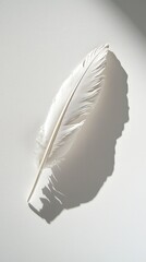 Poster - Elegant White Feather Casting Soft Shadow on Light Gray Surface