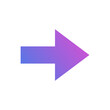 © lailistudio - The next arrow vector icon, the flat design symbol.