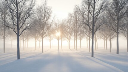 Wall Mural - snowy forest with sunlight filtering through